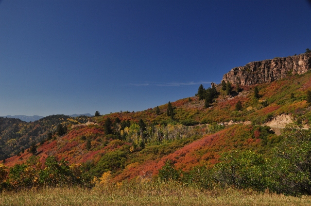 Along Highway 92 north toward Crawford
